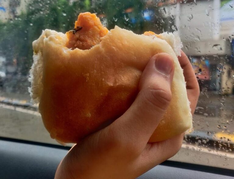 aesthetic-vada-pav