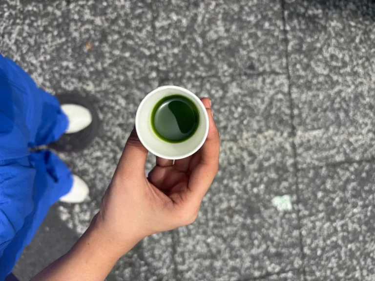 Matcha Experience in Japan