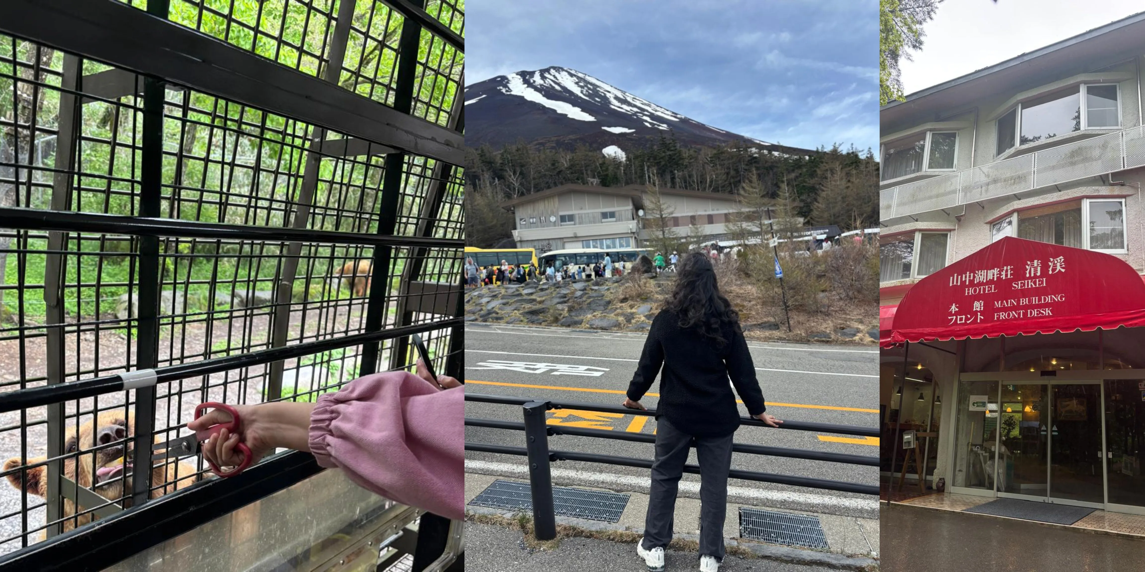 Things to Do in Fujisan: The Complete Mount Fuji Guide & Itinerary